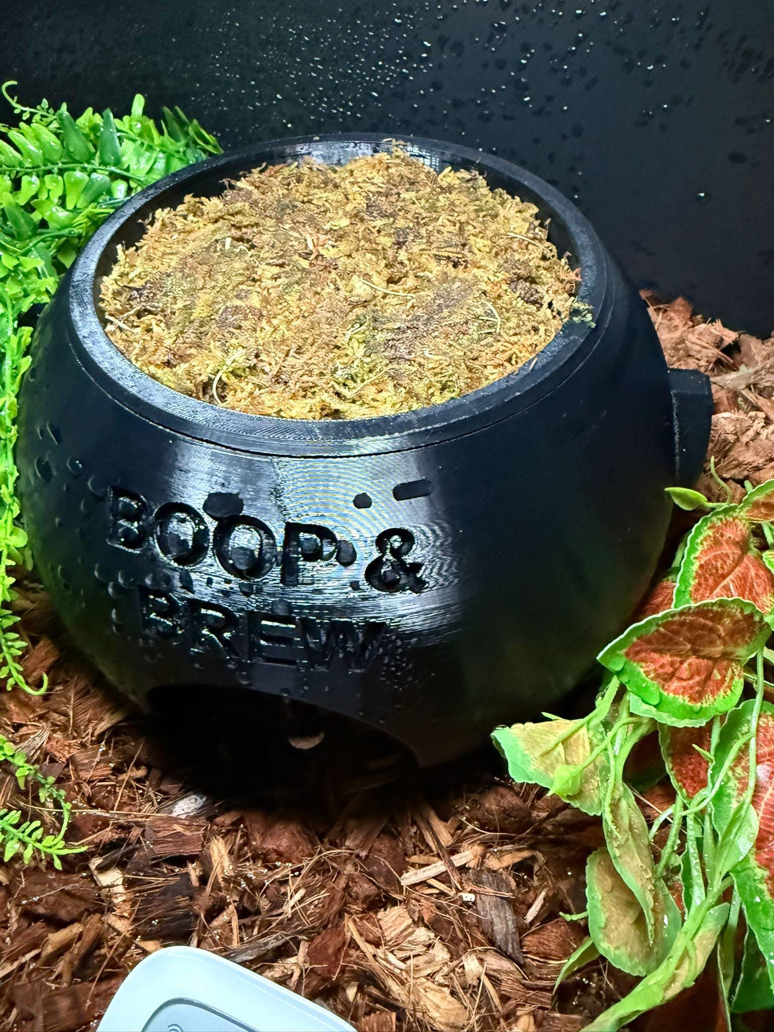 Witch Cauldron Humid Hide for Reptiles – Halloween Terrarium Decor with Shedding Support