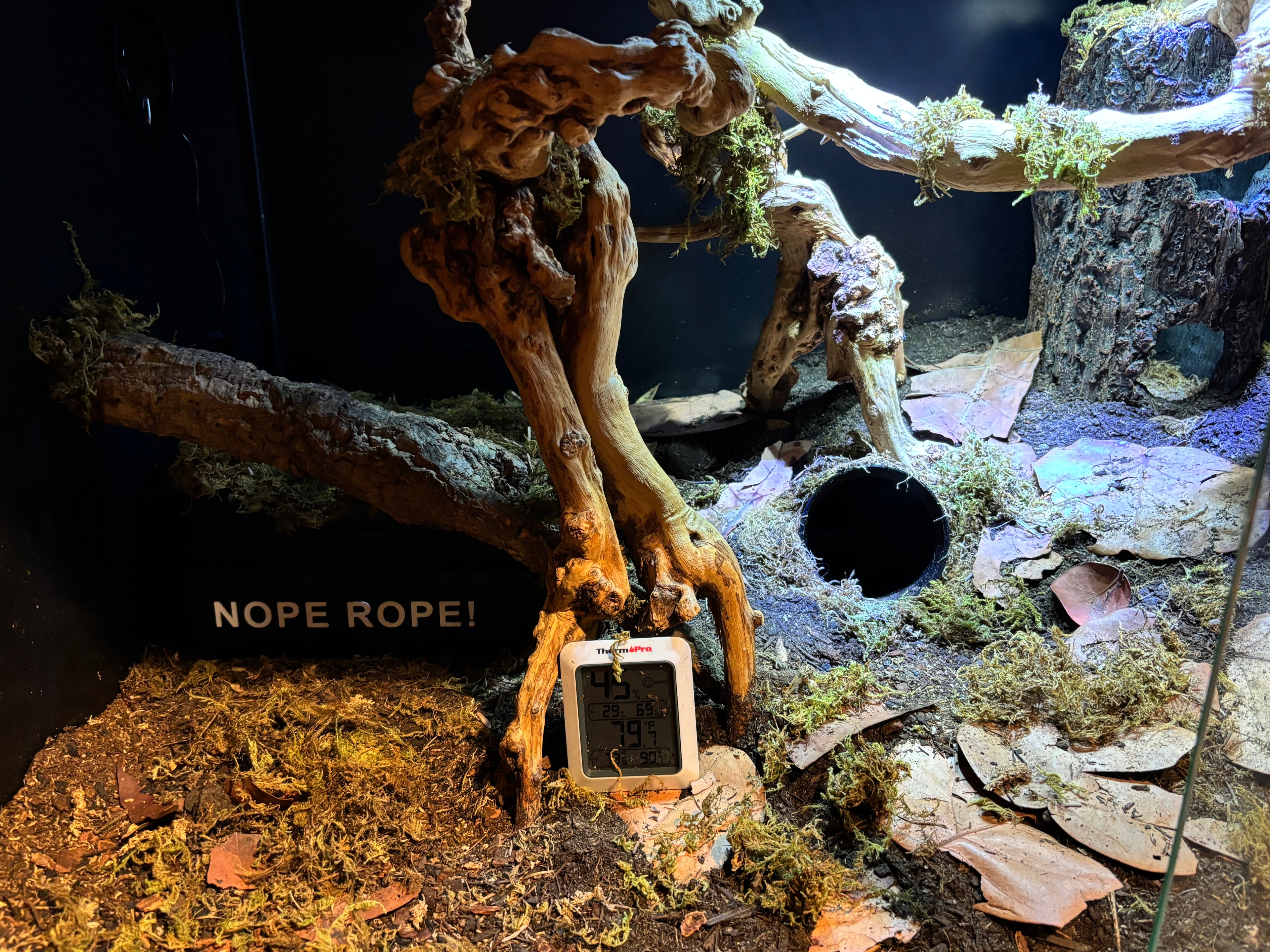 Underground Humid Hide for Reptiles with Modular Tunnels – Buried Hide for Shedding Support