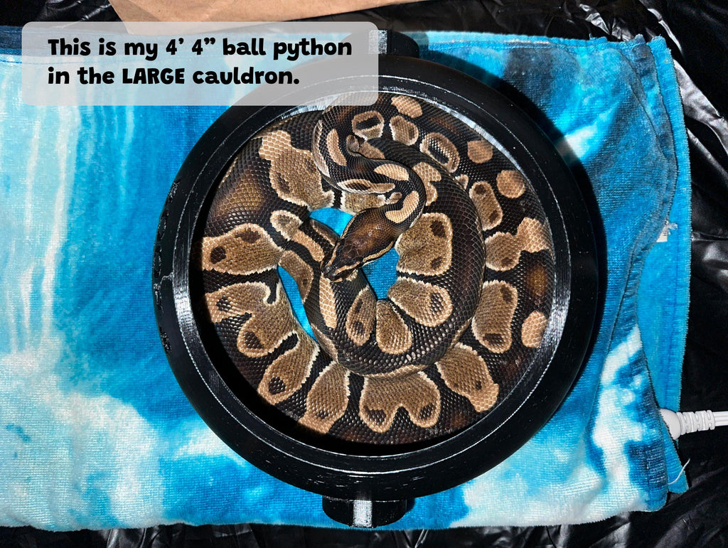 Witch Cauldron Humid Hide for Reptiles – Halloween Terrarium Decor with Shedding Support