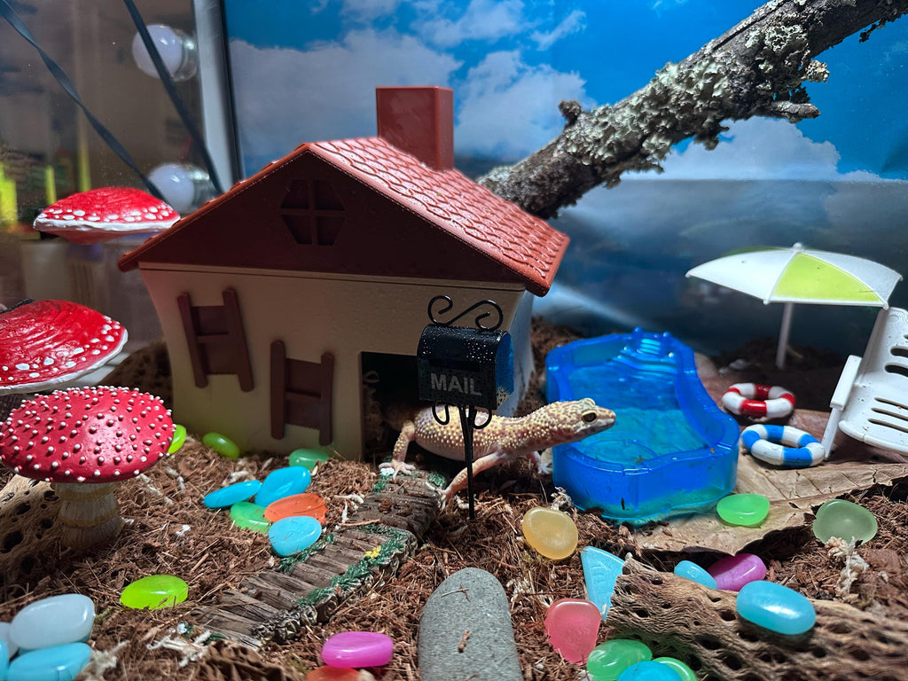 Whimsical Crooked Cottage Humid Hide for Reptiles – Fantasy Enclosure Decor with Shedding Support