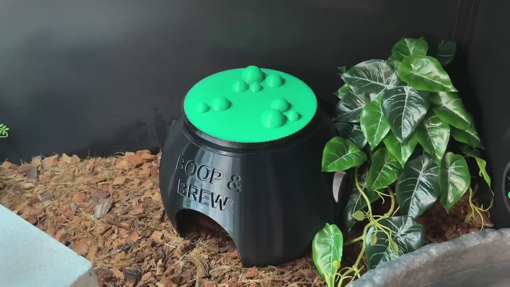 Witch Cauldron Humid Hide for Reptiles – Halloween Terrarium Decor with Shedding Support