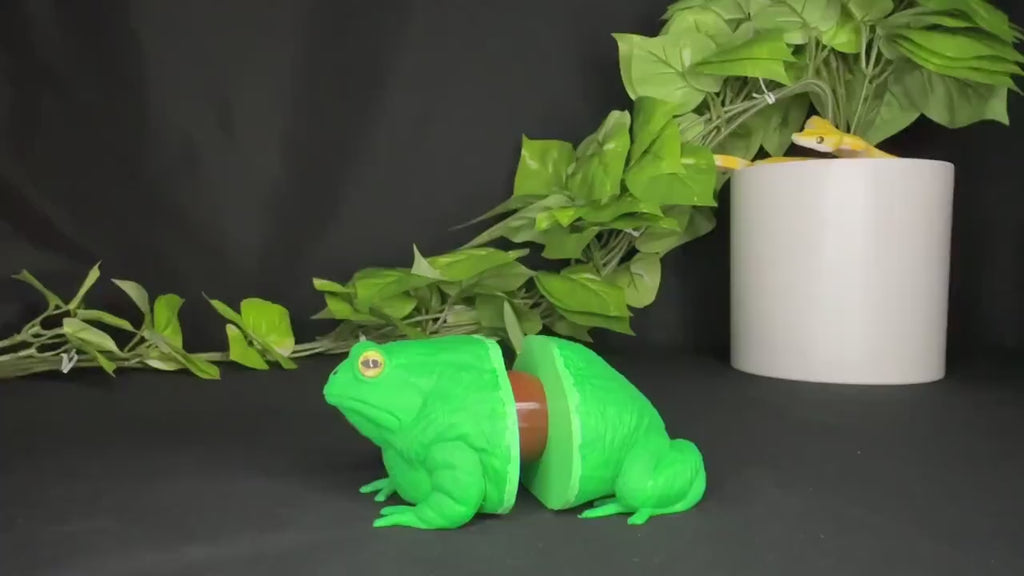 Avocatoad Toad Decor Figurine with Custom Glass Eyes