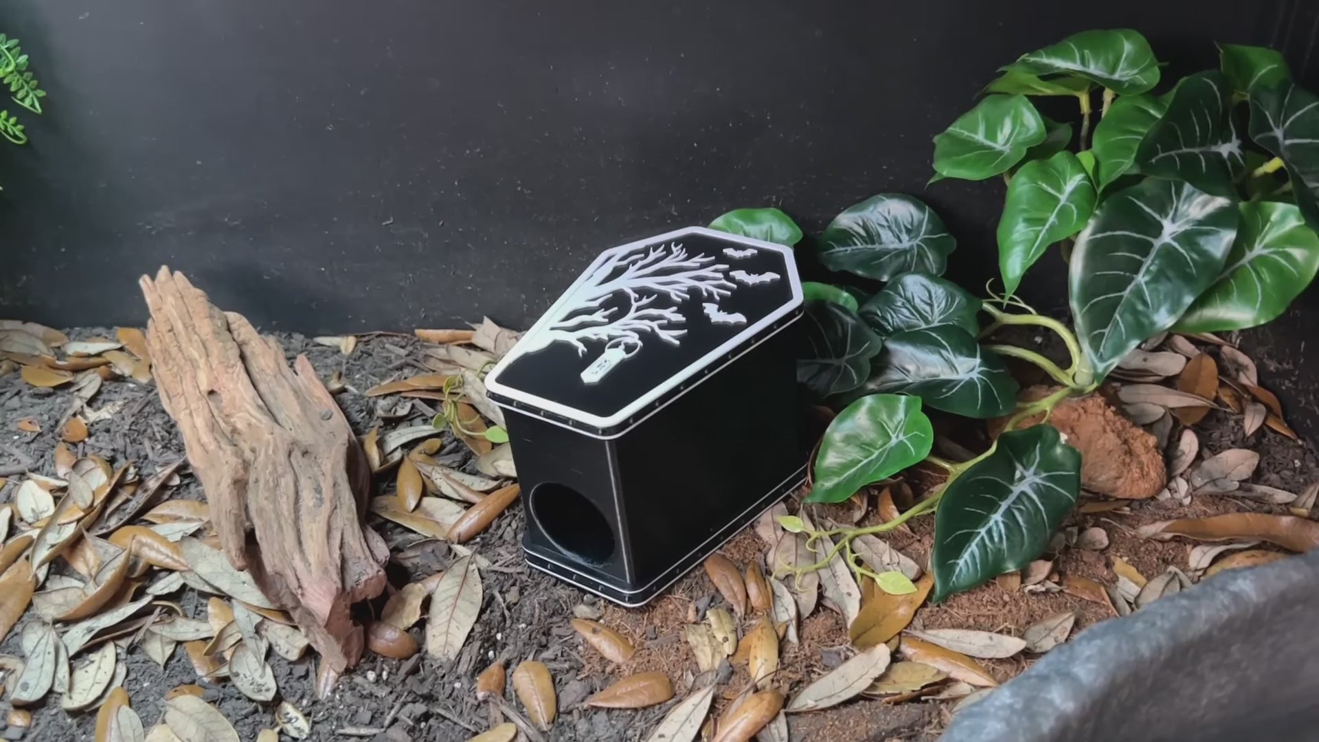 Coffin Humid Hide for Reptiles – Gothic Terrarium Decor with Shedding Support