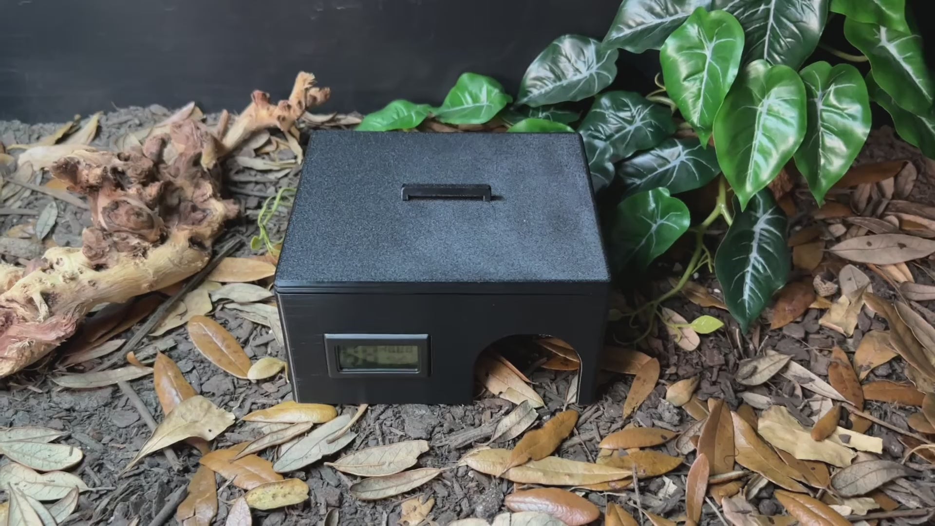 Humid Hide for Reptiles with Integrated Hygrometer/Thermometer for Shedding Support